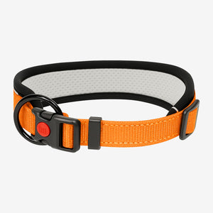 Orange dog collar with breathable mesh and secure buckle – Pawtrek Australia
