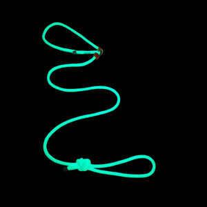 Green Pawtrek glow-in-the-dark dog leash with solar-charged luminous design for night visibility – Australia