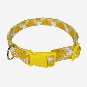 Yellow and white braided adjustable dog collar with buckle – Pawtrek Australia