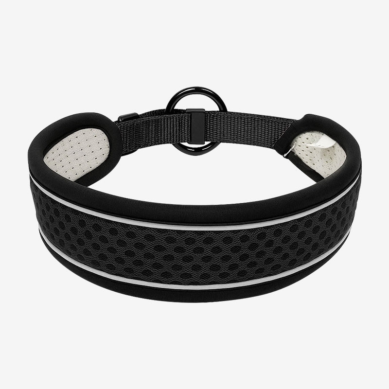 Adjustable Buckle Dog Collar