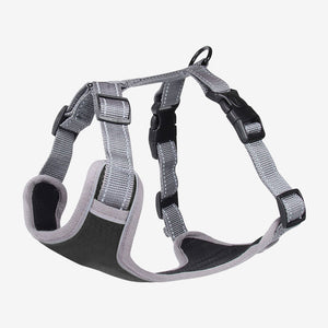 Gray adjustable dog harness with black padding and quick-release buckles.