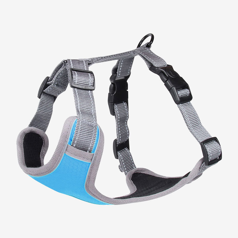 Adjustable No-Pull Breathable Dog Harness