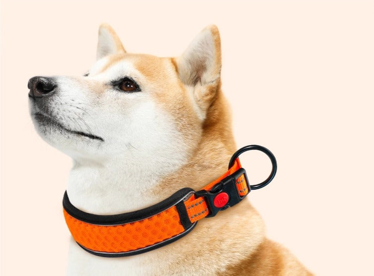Adjustable Buckle Dog Collar