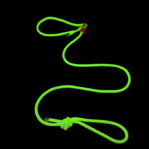 Yellow Pawtrek glow-in-the-dark dog leash with solar-charged luminous design for night visibility – Australia