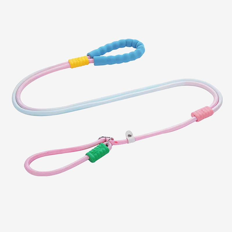 Pawtrek pastel gradient dog P-leash in pink and blue with soft padded handle – Australia