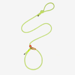 Yellow Pawtrek glow-in-the-dark dog leash with solar-charged luminous design for night visibility – Australia