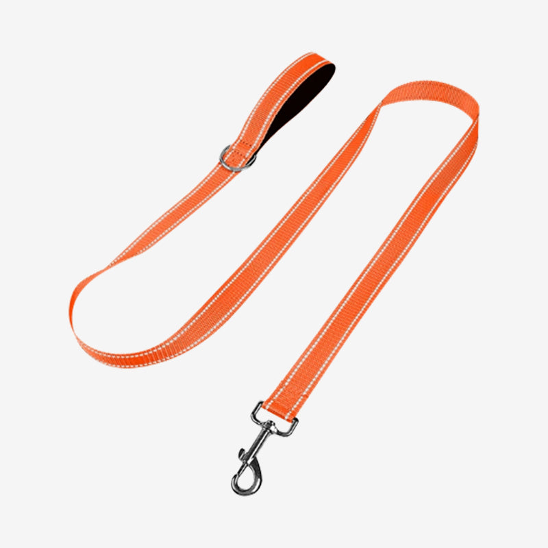Reflective Dog Leash – Durable, Lightweight & Safe for Night Walks