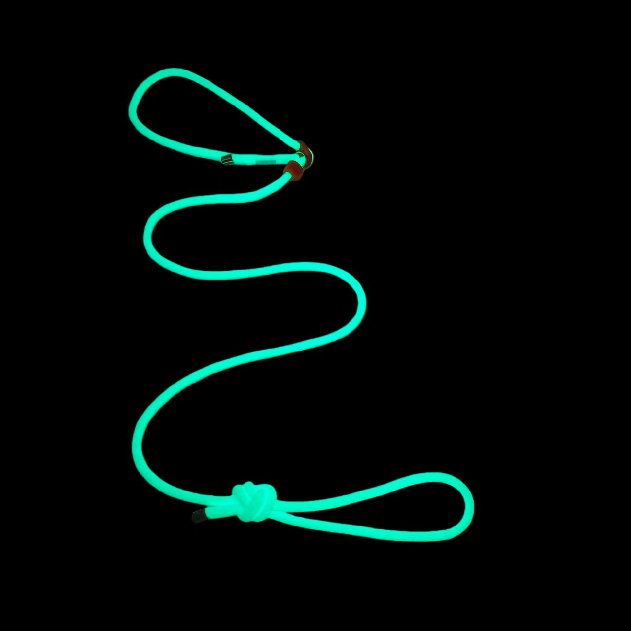 Green Pawtrek glow-in-the-dark dog leash with solar-charged luminous design for night visibility – Australia