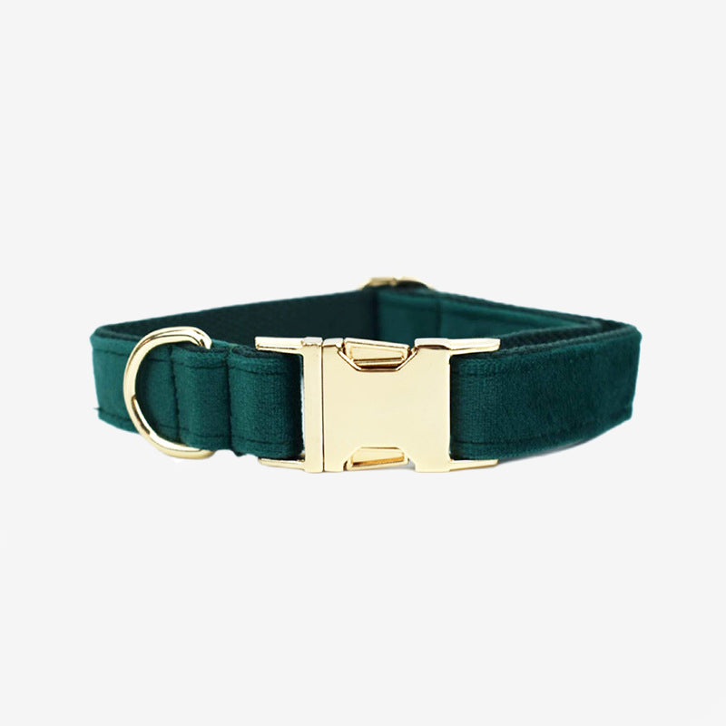 Premium velvet pet collar kit with engraving option – Christmas gift set