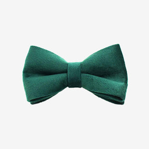 Premium velvet pet  bow tie – Christmas gift set